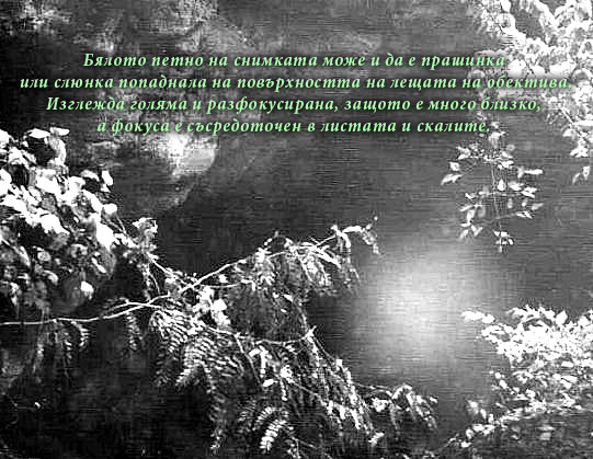 Природните духове около долмените на Велика България