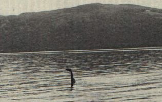 lochness 1970s