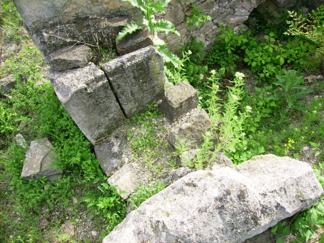 PICT0450