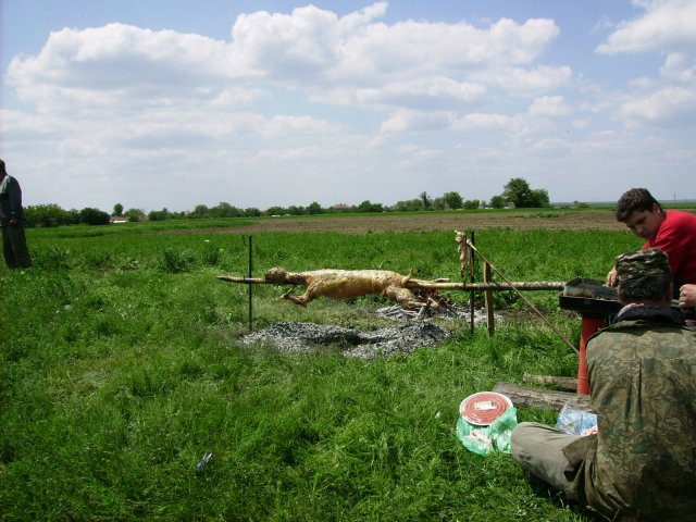 PICT0498