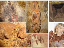 1487984_263762870443783_1072888798_o