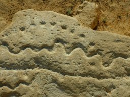 Мангишлак - 0_2_Kos-min