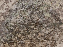 Meditirasht jrec_vodna snimka1