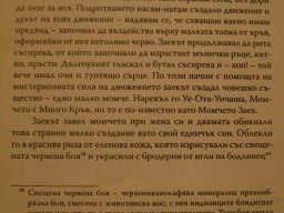 Момчето Заек 2