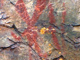Nanabozho - pictograph Mazinaw Rock1