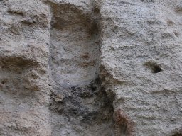 DSC_9699