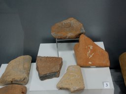 DSC_0293-1