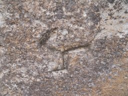 DSCN4514