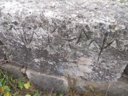 DSCN4516
