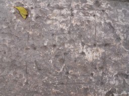DSCN4559