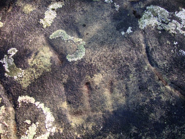 DSC09762-1
