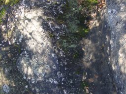 DSC09777-1