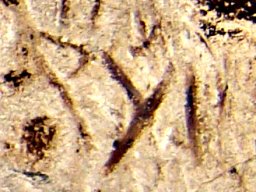 Y magura