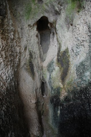 DSC_5386-1