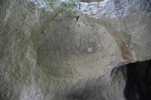 DSC_5409-1