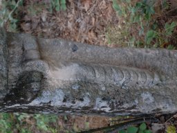 DSC_6755