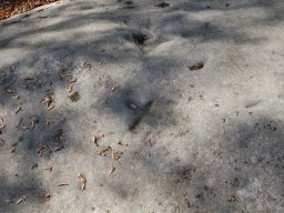 DSC_9538