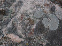 DSC_6075