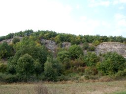 DSC_7814-1