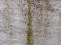 DSCN5646re