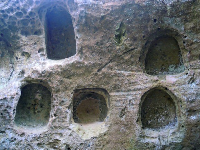 DSCN4167-1