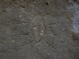 DSC_4925-1