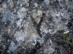 DSCN4148-1