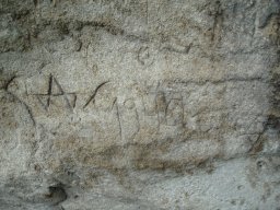 PB080136-1