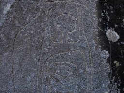 DSC_9706-1
