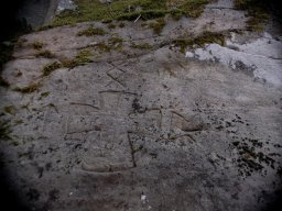 DSC_9731-1