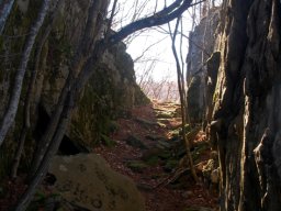 DSC_9739-1