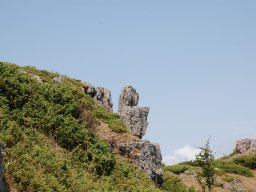 DSC_7863