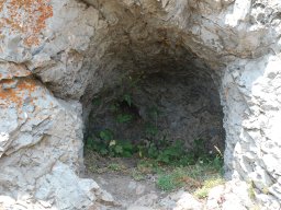 DSC_7911