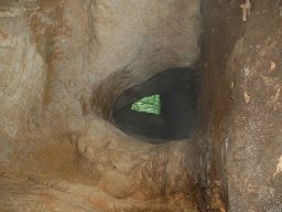 DSC_8042