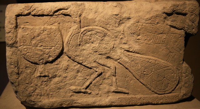IMG_9019re