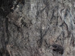 DSC_4247-1