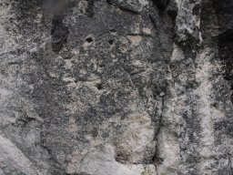 DSC_3869-1