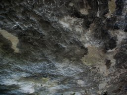 DSC_3964