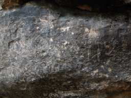 DSC_4042~0