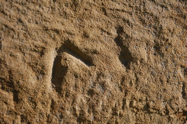 DSC_0408-1
