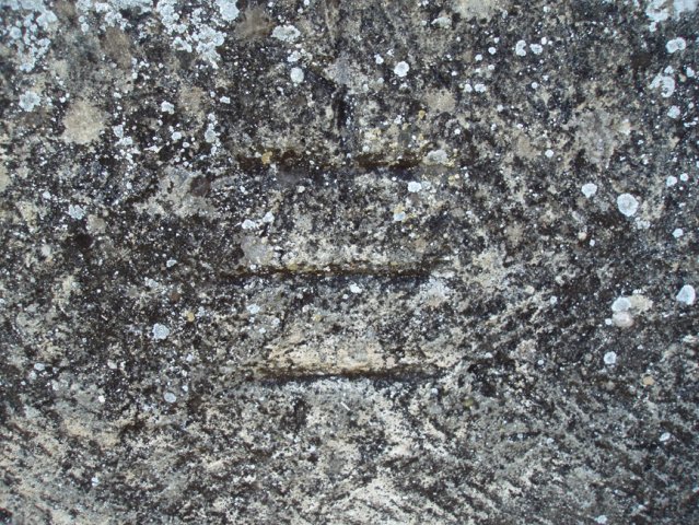PB080064-1