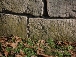 DSC_0356-1