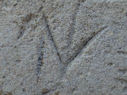 PB080079-1