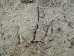 PB080085-1