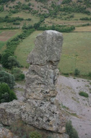 borovica