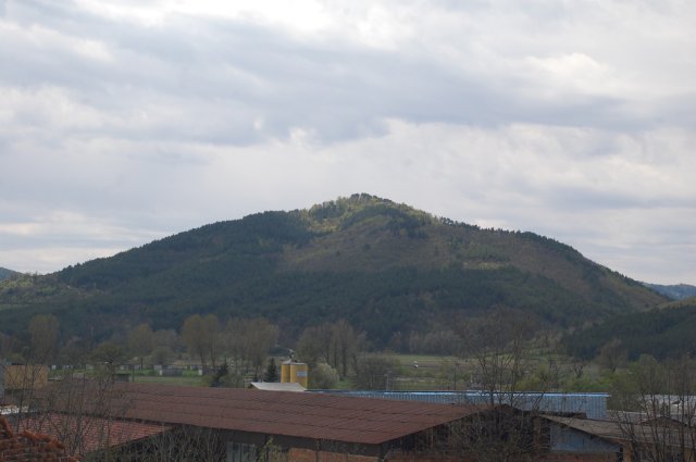 DSC_3508-1