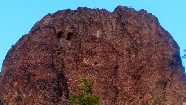 moniak1