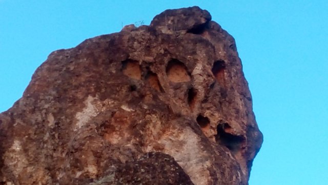 moniak3