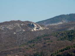 DSC_2498-1