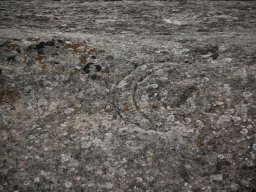 DSC_0603-1